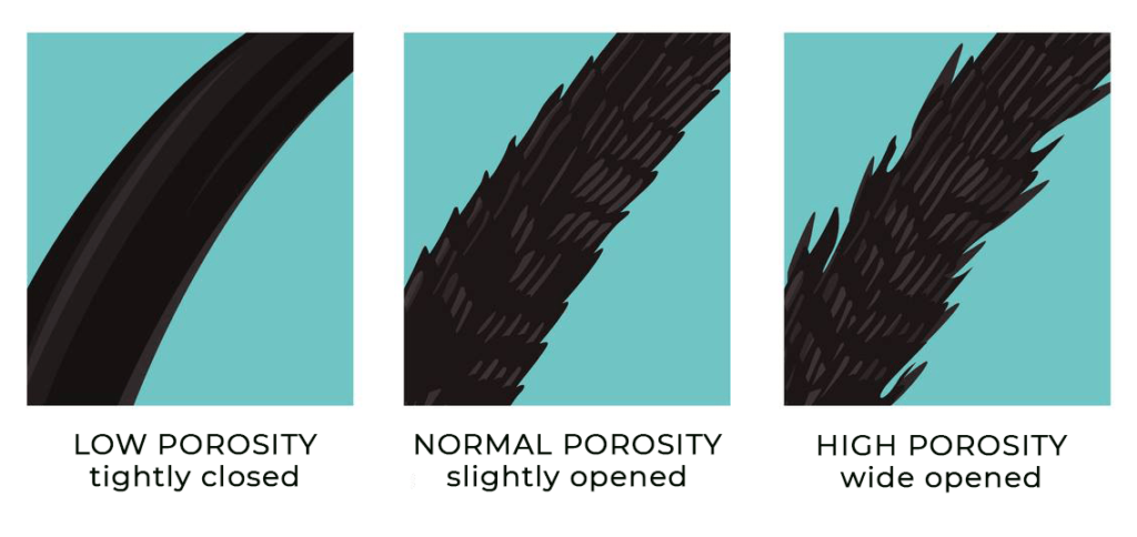 What is Low and High Hair Porosity? - CurleeMe Blog