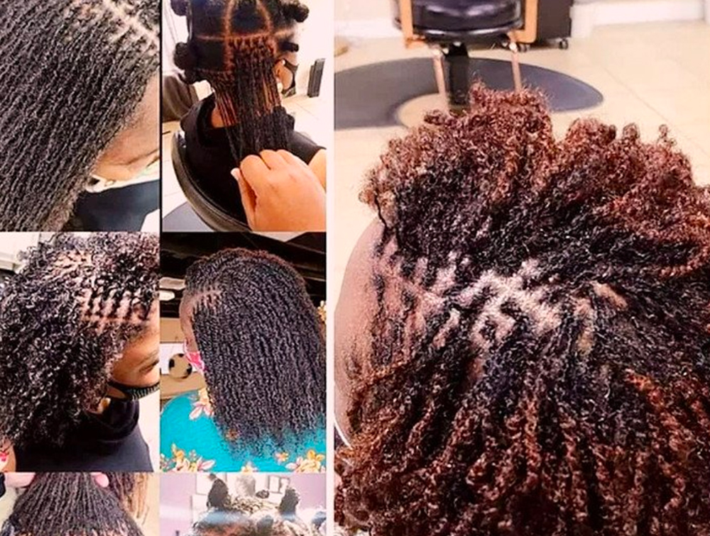 Microlocs| Reeta’s Organics| Orlando